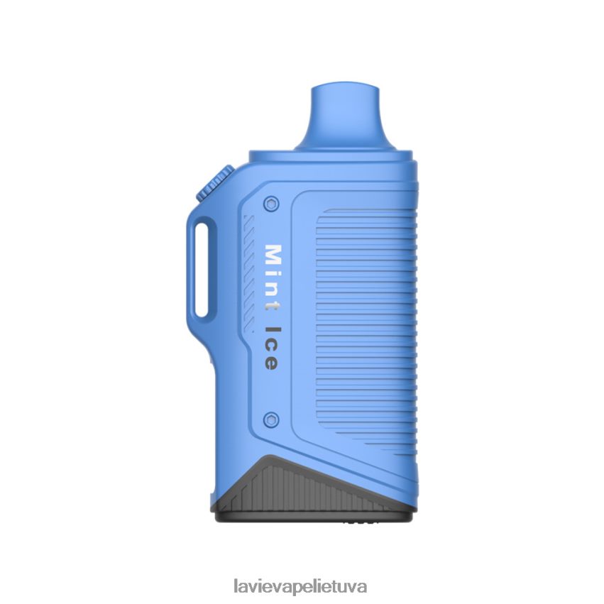 N226RV72 Lavie Puffs | mėtų ledų LAVIE Energy Box 15 000 įkvėpimų